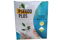 Pseudo Plus - 1